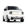 2023 Hot Sale Brand Geely Panda Mini Adorable Compact Convenient Pure Electric Economical Car