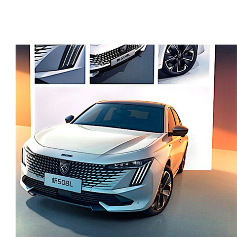 2023 New 508 L Yudong Flagship Automatic Fuel New Gasoline Cars Vehicle for Adult