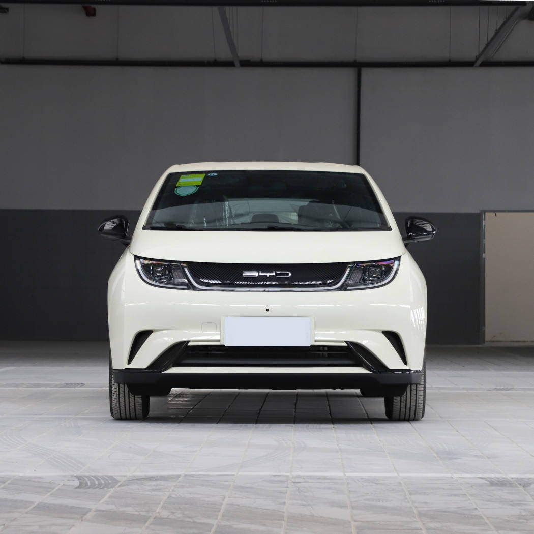 In stock Electric Car Byd Dolphin2023 Fashional 420KM Vehicle Made in China