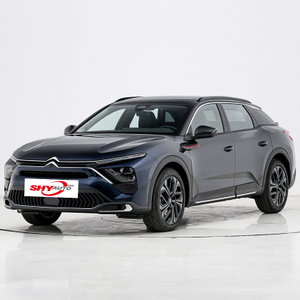 China Cheap Price 2024 New Versailles Travel Edition SUV off Road Car for Family Use