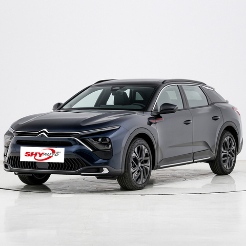 China Cheap Price 2024 New Versailles Travel Edition SUV off Road Car for Family Use
