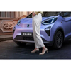 RWD Mini China Sedan cars price new energy vehicles Chery little ant new