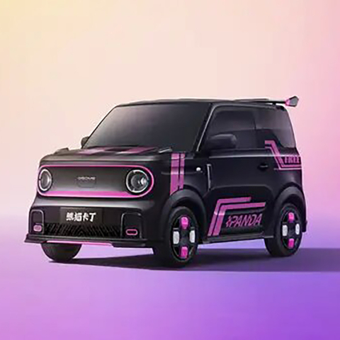 2023 Geely Panda Mini Safety 120km 200km Rwd Fast Charging Electric Car with Lithium Battery