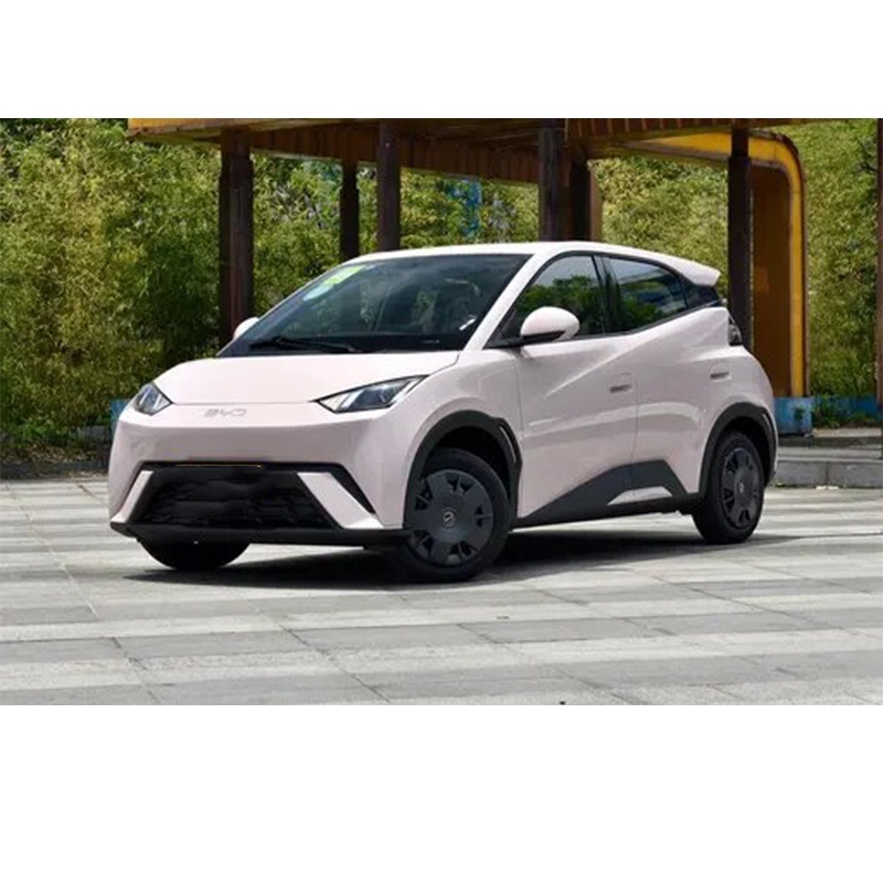 2024 China New Electric Car Vehicle BYD Seagull EV New Energy Mini Car