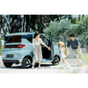 Good Price RWD automobile vehicles pure suv electric mini car Wuling Hongguang