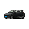 Byd Seagull Pride 305km Freedom Edition New Energy Cars EV Electrical Vehicle Mini Electric Car