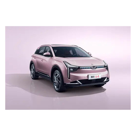 Fully Electric Electromagnetic EV Car NETA U with Good Price U-II 400 Standard Version