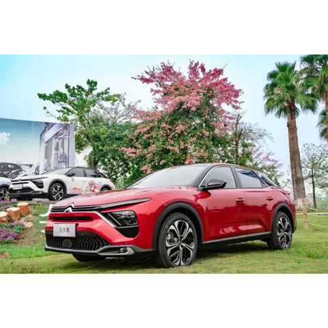Gasoline Hatchback 4X4 SUV citroen versailles 2024 New Glory Edition