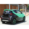 Pure Electric White China New Energy Car Chery little ant