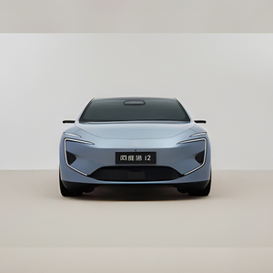 Blue RWD vehicle pure car smart vehicles Electric Motorcycle Avatar12 in China
