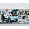 China SUV pure portable vehicle Chinese Cars electric mini car Wuling Hongguang