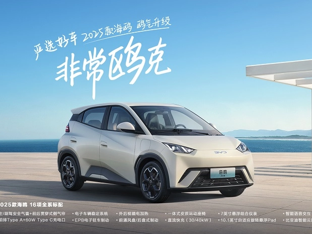 Why Did 500000 People Choose It? BYD 2025 Seagull Starts at 69800 Yuan
