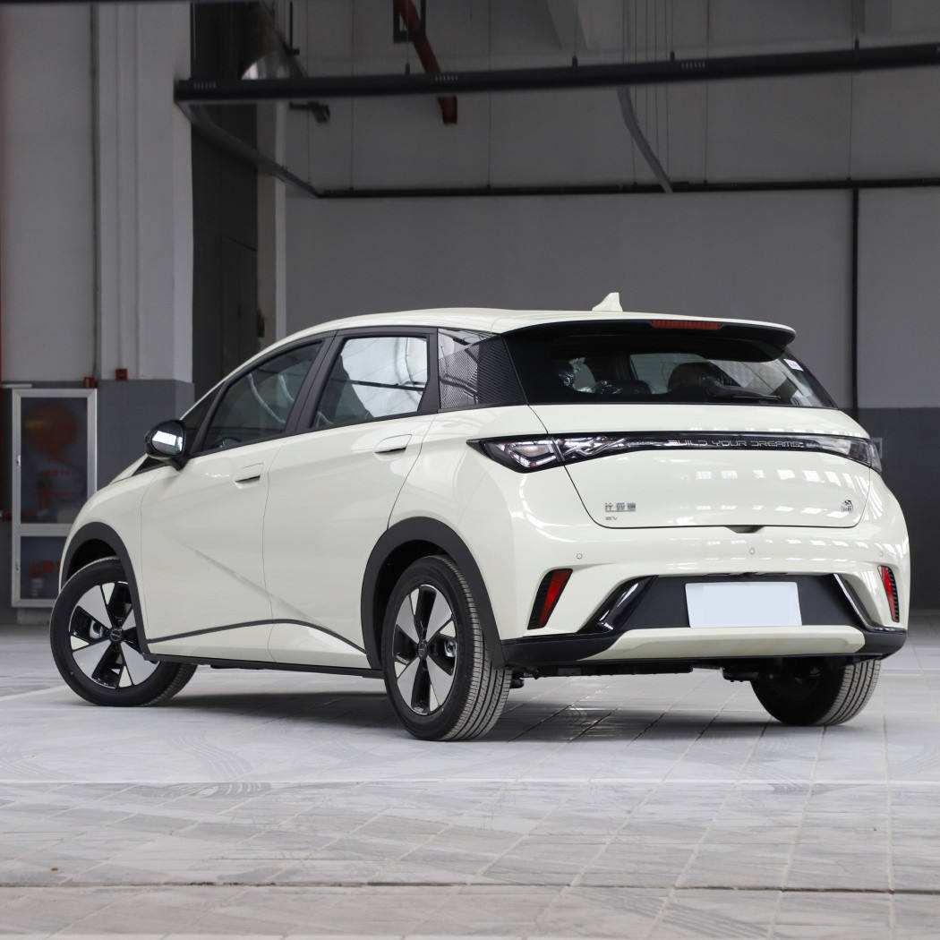 In stock Electric Car Byd Dolphin2023 Fashional 420KM Vehicle Made in China
