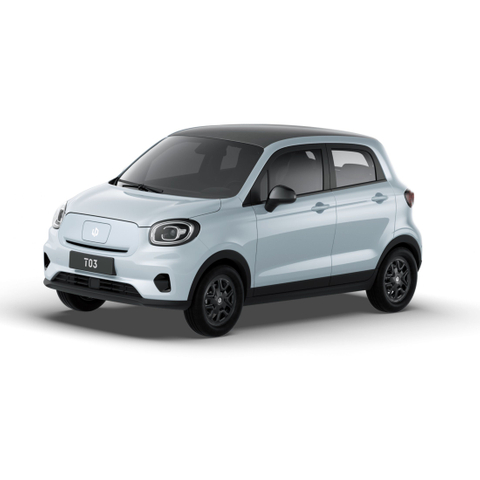 Leapmotor 2023 T03 403 Smart Cltc 403km New Energy Vehicles