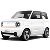 2023 Hot Sale Brand Geely Panda Mini Adorable Compact Convenient Pure Electric Economical Car