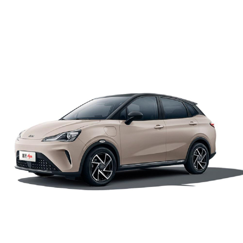 Popular Neta Aya SUV 318 Lite Edition Pure Electric Car