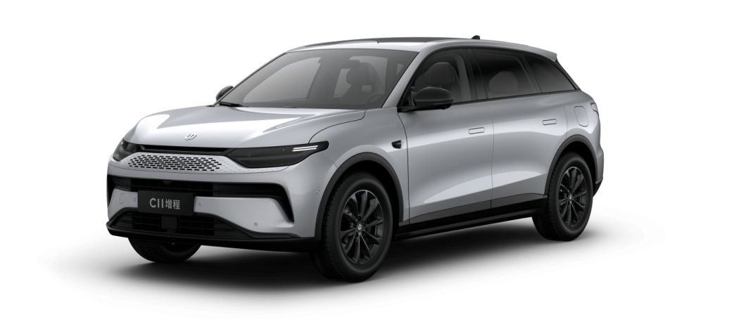 Factory Customization Leapmotor 2023 C11 Reev Cars 300 Smart 1210 Long Range Auto New Energy Vehicle