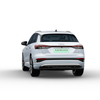 Fully Electric Family Mini car Q4 2024 50 e-tron quattro Chuangxiang Yaoye Editio