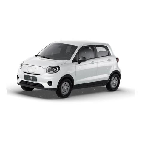 Leapmotor 2023 T03 200 Regular Edition Engaging Driving Car New Energy Vehicle