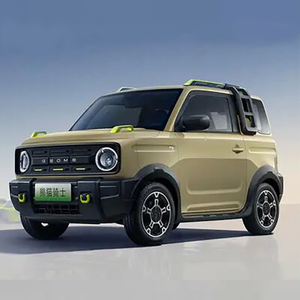 China Geely Geometry Panda Knight Edition Mini High Version Electric car