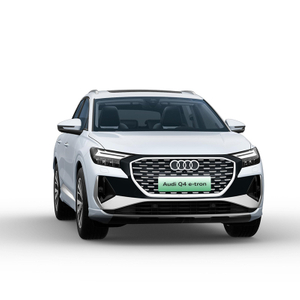 SUV Electric Bev EV Car Q4 2024 50 e-tron quattro Chuangxiang Yaoye Editio