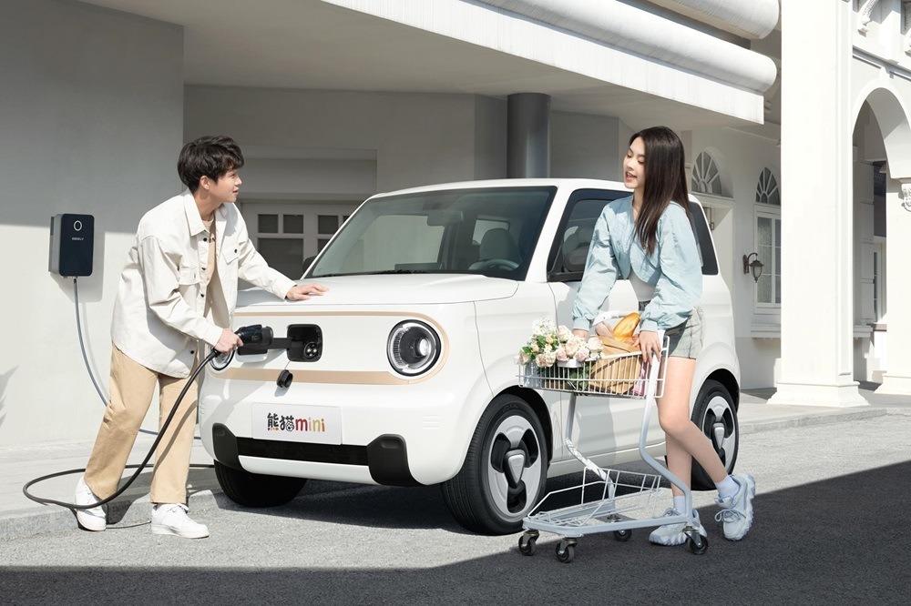 2023 Hot Sale Brand Geely Panda Mini Adorable Compact Convenient Pure Electric Economical Car