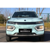 High Quality Electric FWD China vehicles pure car suv dongfeng nano Box Nammi
