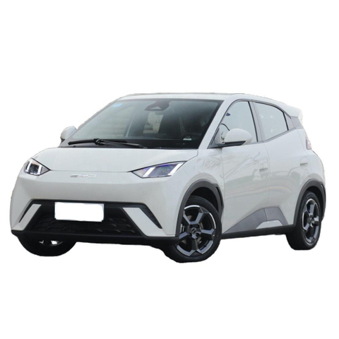 China BYD Seagull 2024 Honor Version 405KM Flying Edition Pure Electric New Energy Vehicles On Sale