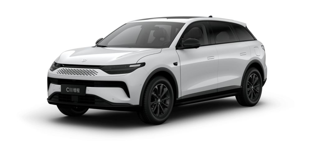 Factory Customization Leapmotor 2023 C11 Reev Cars 300 Smart 1210 Long Range Auto New Energy Vehicle