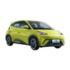 2024 Byd Hot Selling Seagull Pure Electric Compact Car New Energy Vehicle Mini EV Electric Car