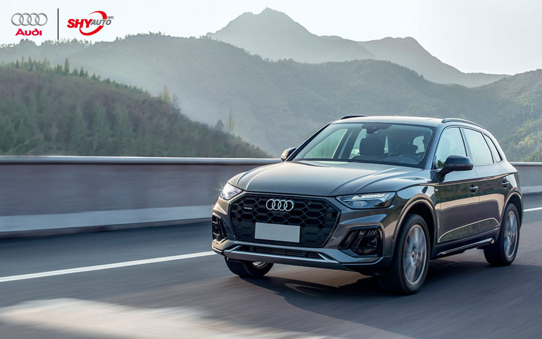 Electromagnetic Fully Electric SUV New Energy Car Q4 2024 50 e-tron quattro Chuangxiang Yaoye Editio